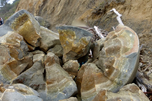 Moeraki-Boulders in Neuseeland