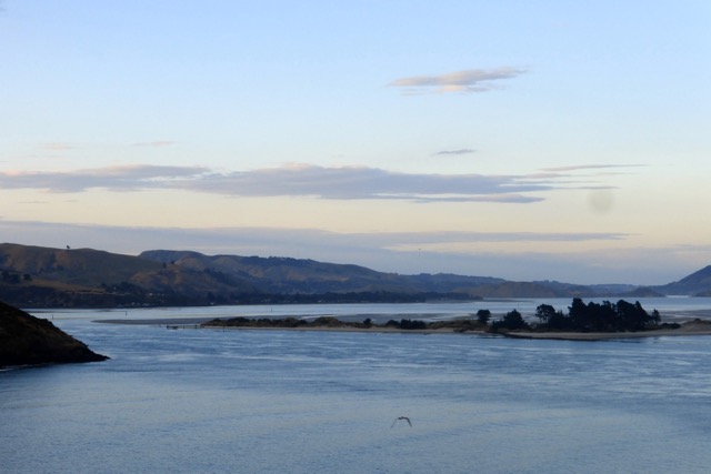 Otago Halbinsel, Taiaroa Head