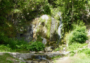 Harzer-Hexen-Stieg von Schierke nach Rübeland